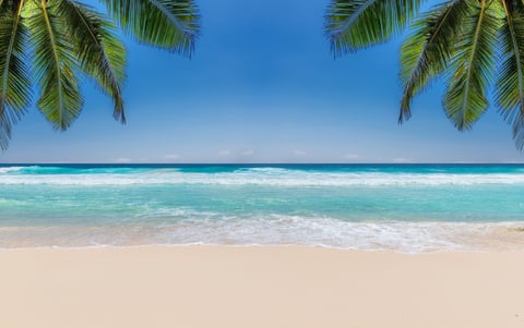 Tropical beach with white sand and palm trees